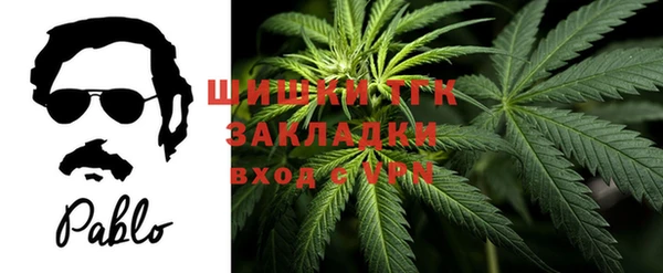 прущие грибы Алзамай