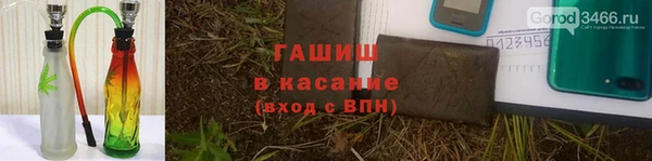 прущие грибы Алзамай