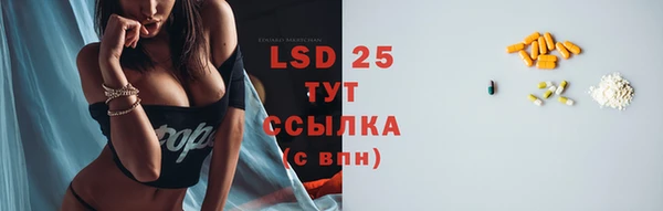 прущие грибы Алзамай