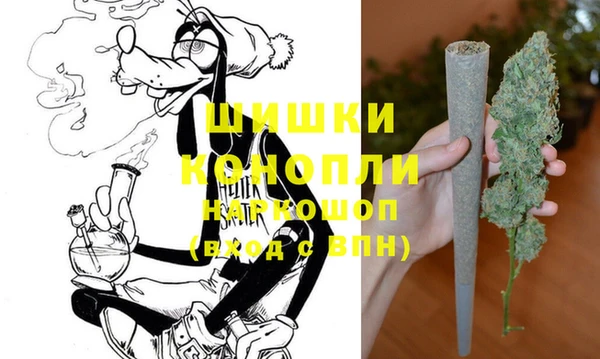 прущие грибы Алзамай
