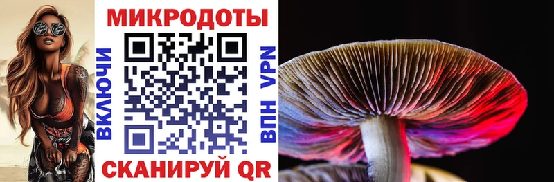 купить наркоту  Змеиногорск  Псилоцибиновые грибы GOLDEN TEACHER 